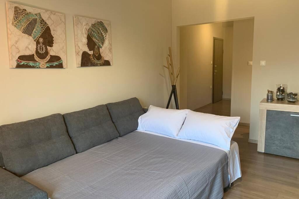 Belajo Central Apartment And Jacuzzi !! โวโลส ภายนอก รูปภาพ